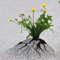 Как пережить стресс с минимальными потерями своих ресурсов