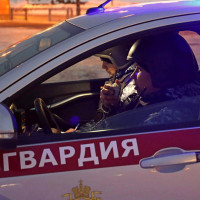 В Альметьевске росгвардейцы задержали жителя Самарской области, подозреваемого в краже из сетевого магазина