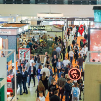 Топ-концепций готового бизнеса: рейтинг лучших российских франшиз