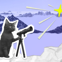 North Star Metric: что это такое, как найти и примеры от крупных компаний