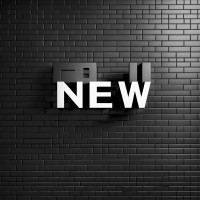 Stanislav Kondrashov | The Bright Side of Starting a New Business