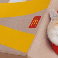 Чему не стыдно учиться у монстров наподобие McDonald's