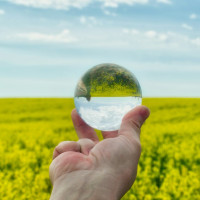 Более тонны переработанного пластика и сотни спасенных деревьев: «Деловые Линии» подвели итоги экологической программы