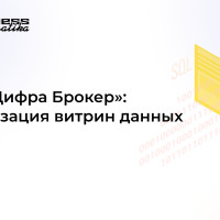 Кейс «Цифра Брокер»: оптимизация витрин данных