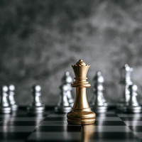 Как эффективно управлять командой проекта и добиваться результатов