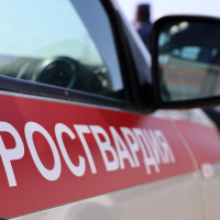 В Набережных Челнах сотрудники Росгвардии задержали подозреваемую в краже одежды из торгового центра