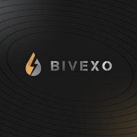 Bivexo Group Limited: Путь к Успеху