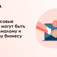 Чем массовые выплаты могут быть полезны малому и среднему бизнесу