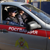 В Мамадышском районе Татарстана сотрудники Росгвардии по срабатыванию сигнализации задержали подозреваемую в краже