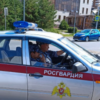 В Зеленодольске сотрудники Росгвардии задержали ранее судимого, подозреваемого в магазинных кражах