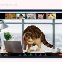 5 ситуаций, когда рабочие созвоны крадут наше время и как этого избежать