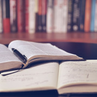 Профи: Выпускники российских школ теряют интерес к иностранным языкам