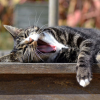 Топ-7 загадок, которые наука не решила до сих пор. Рассказывают ученые Пермского Политеха