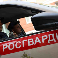 В Казани росгвардейцы совместно с полицейским задержали подозреваемого в краже вещей из автомобиля