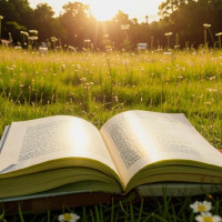 Звук: Почти половина российских школьников выбирают  книги в кратком содержании