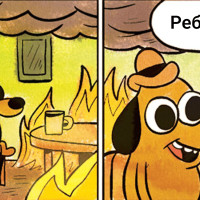 [Кейс] Перезагрузка бренда: Что происходит с рекламой в Яндекс Директ после ребрендинга?