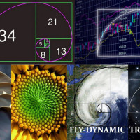 Фибоначчи в торговом роботе Forex-Fibo. Fly-Dynamic Bot