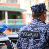 В Набережных Челнах сотрудники Росгвардии задержали жителя Башкирии,  подозреваемого в краже товаров из гипермаркета
