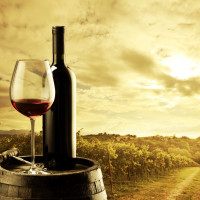 Как проект WineIndex открывает новые горизонты российским виноделам