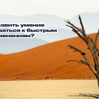 Как развить умение адаптироваться к быстрым изменениям?