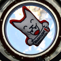 Космонавты с МКС поддержали контрольную «Выходи решать!»