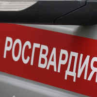 Росгвардейцы задержали сразу троих тольяттинцев, находящихся в федеральном розыске