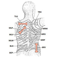 Трансплантация кожи станет эффективнее: группа исследователей при участии ученых Пермского Политеха изучили ее биомеханические свойства