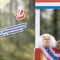 Как работать с несколькими проектами одновременно: методики и лайфхаки