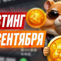 Листинг Hamster Kombat, как вывести монеты? Как продать? Как подготовиться?