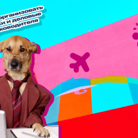 Как грамотно организовать командировки и деловые поездки руководителя