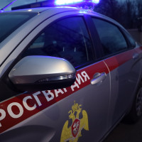 В Казани росгвардейцы задержали объявленного в федеральный розыск вора из Республики Коми