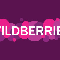 В 2025 году Wildberries станет крупнейшим в РФ собственником складов