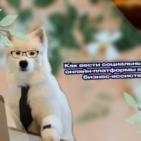 Как вести социальные сети и онлайн-платформы клиентов бизнес-ассистенту
