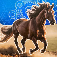 Если бы сайт был кобылой... Неожиданно о разработке сайтов