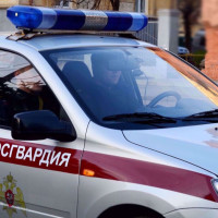В Тольятти росгвардейцы задержали одновременно двух местных жителей, числившихся в розыске