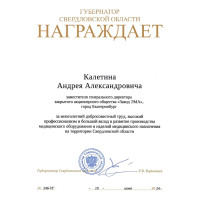 Губернатор наградил Андрея Калетина за вклад в промышленность региона