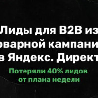 Товарная кампания в Директе для сегмента B2B упала на -100% в один день. Мы потеряли 40% плана по лидам за неделю. Как исправили?