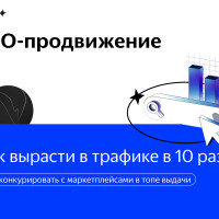 Кейс SEO-продвижение: Как вырасти в трафике в 10 раз и конкурировать с маркетплейсами в топе выдачи