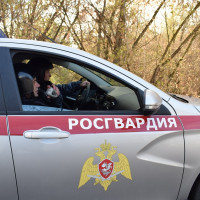 В Зеленодольске сотрудники Росгвардии задержали судимого мужчину, подозреваемого в совершении серии краж из местных магазинов