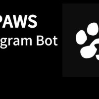 PAWS - новый проект в Telegram, аналог DOGS