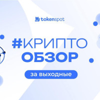 Полный обзор TokenSpot — реальные отзывы