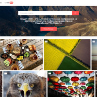 «РИА Новости» предоставили доступ к своему фотоконтенту в рамках нового сервиса «СТОК»