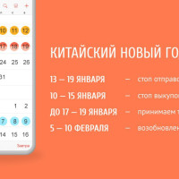 Календарь закупок перед Китайским Новым годом 2025