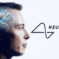 Компания Илона Маска Neuralink получила разрешение на вживление мозговых чипов в Канаде