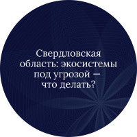 Свердловская область: экосистемы под угрозой — что делать?