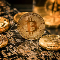 В Госдуме рассказали, при каком условии в России появится отечественная криптобиржа