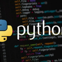 С нуля в IT: как Python открывает двери в профессию разработчика
