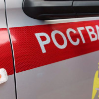 Росгвардейцы Башкортостана задержали подозреваемого в угоне