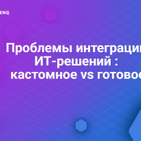 Интеграция ИТ-решений в существующую инфраструктуру: прямой кастомный путь к успеху или коробочный лабиринт с возможным тупиком?