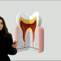 Интерактивные видеостудии 2025: вовлекаем учеников по-новому